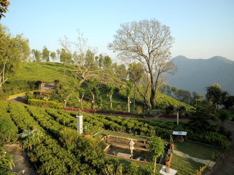 Teanest By Nature Resorts And Stays Coonoor Eksteriør bilde