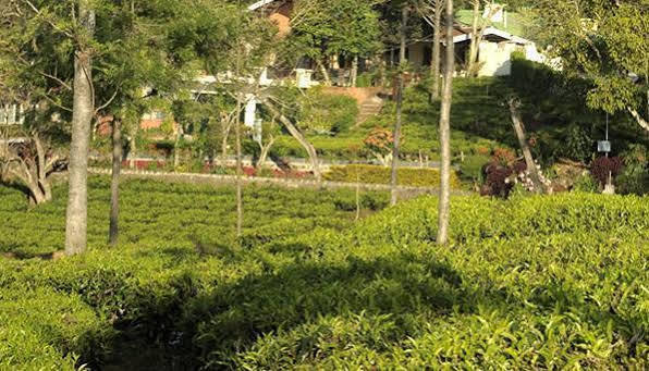 Teanest By Nature Resorts And Stays Coonoor Eksteriør bilde