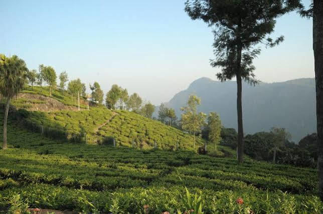 Teanest By Nature Resorts And Stays Coonoor Eksteriør bilde